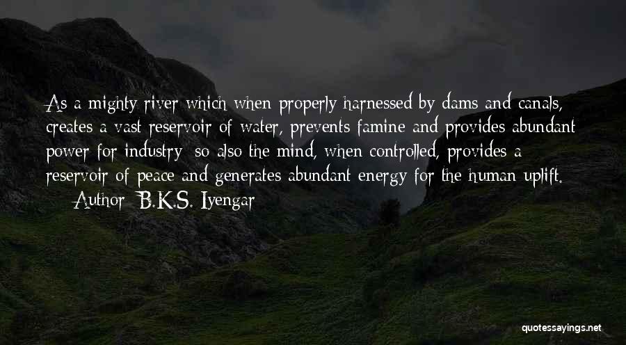 B.K.S. Iyengar Quotes 1927780