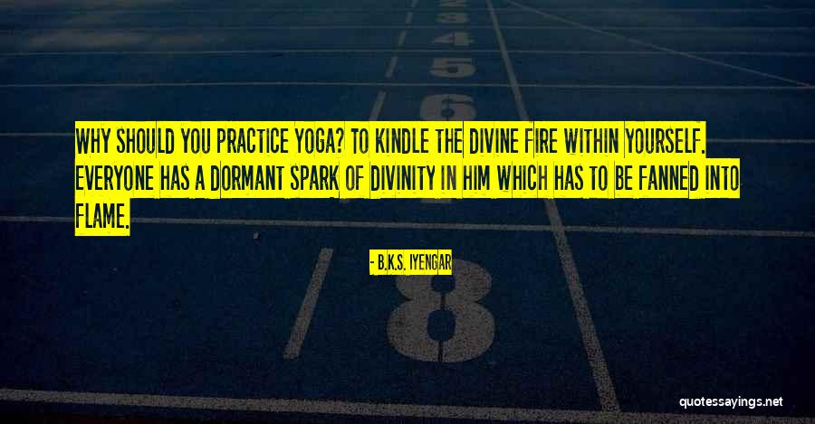 B.K.S. Iyengar Quotes 207573