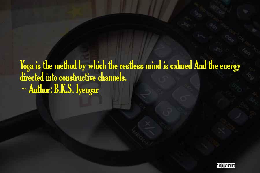 B.K.S. Iyengar Quotes 697227