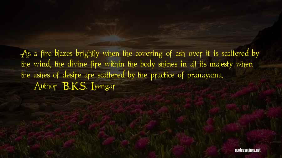 B.K.S. Iyengar Quotes 743175