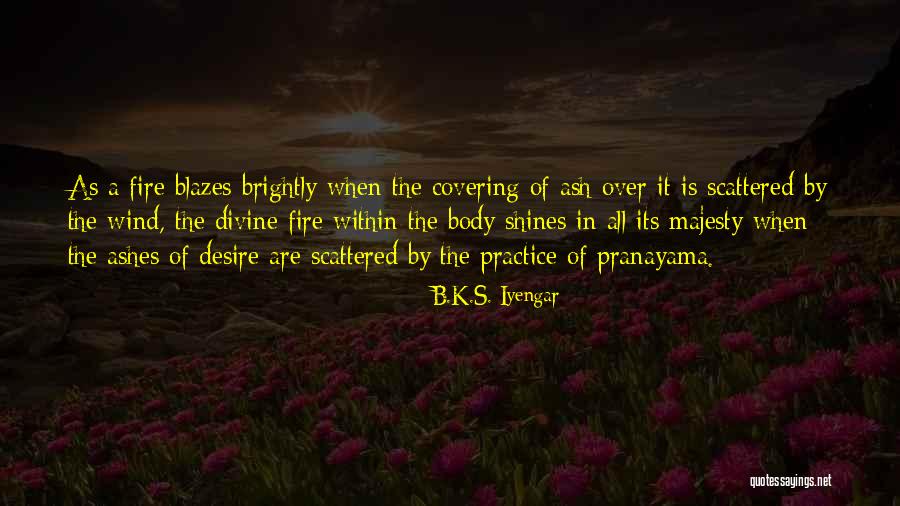 B.K.S. Iyengar Quotes 743175