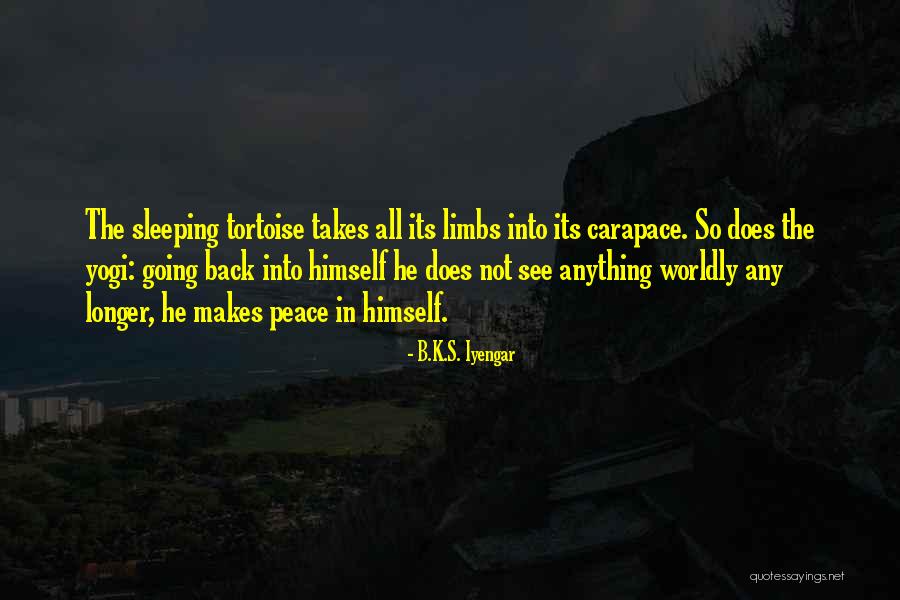 B.K.S. Iyengar Quotes 855947 B.K.S. Iyengar Quotes 855947