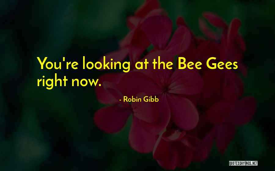 B Nyak Z Quotes By Robin Gibb
