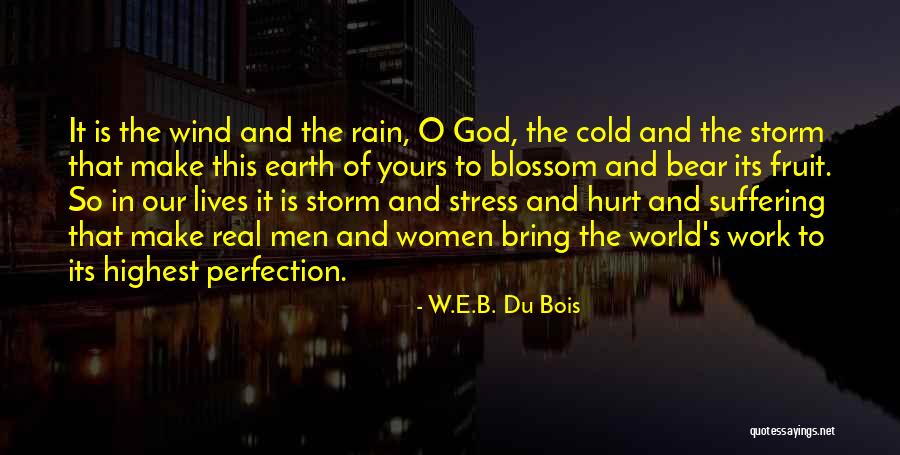 B.o.s Quotes By W.E.B. Du Bois B.o.s Quotes By W.E.B. Du Bois