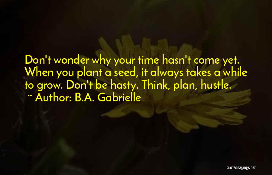 B Plan Quotes By B.A. Gabrielle