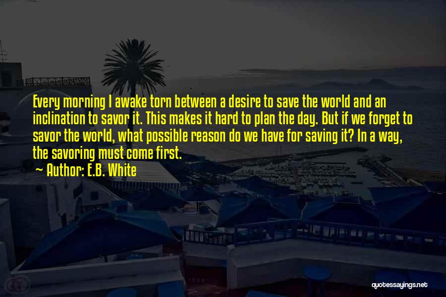 B Plan Quotes By E.B. White