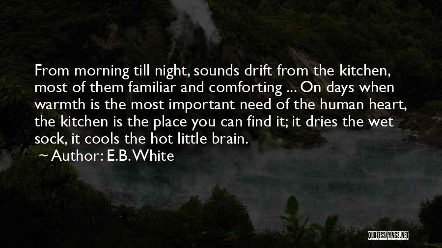 B&q Kitchen Quotes By E.B. White