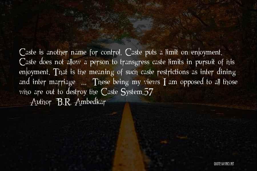 B.R. Ambedkar Quotes 1205108