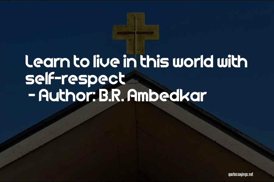 B.R. Ambedkar Quotes 588484