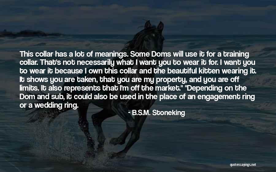 B.S.M. Stoneking Quotes 1760105