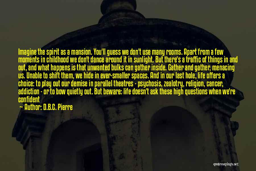 B.s Quotes By D.B.C. Pierre