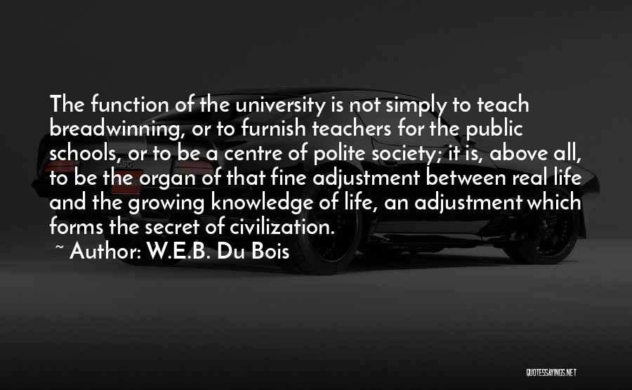B Schools Quotes By W.E.B. Du Bois