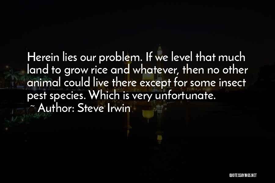 B T Universal Service Weapon Quotes By Steve Irwin