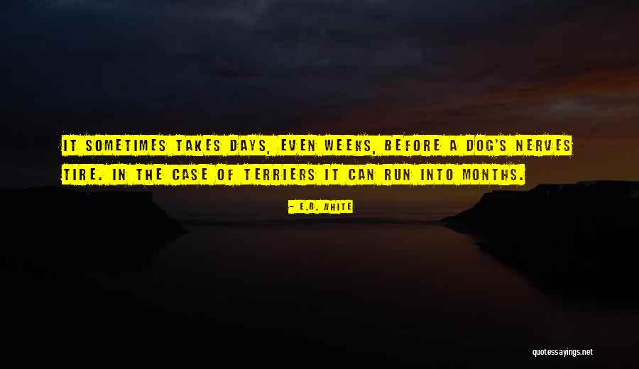 B.tech Funny Quotes By E.B. White B.tech Funny Quotes By E.B. White