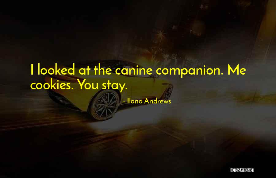 B Thorysuli Quotes By Ilona Andrews B Thorysuli Quotes By Ilona Andrews