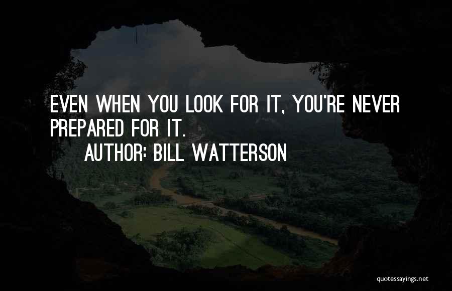 B Watterson Quotes By Bill Watterson