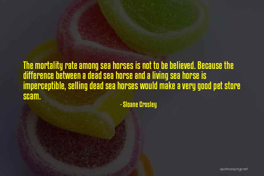 B Zis Store Quotes By Sloane Crosley B Zis Store Quotes By Sloane Crosley
