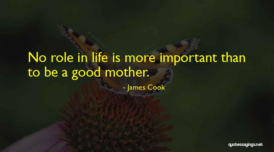 B1ngo Quotes By James Cook B1ngo Quotes By James Cook