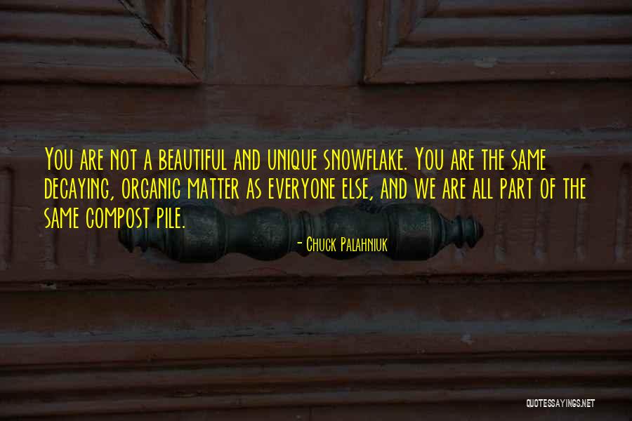 B25 Cockpit Quotes By Chuck Palahniuk B25 Cockpit Quotes By Chuck Palahniuk