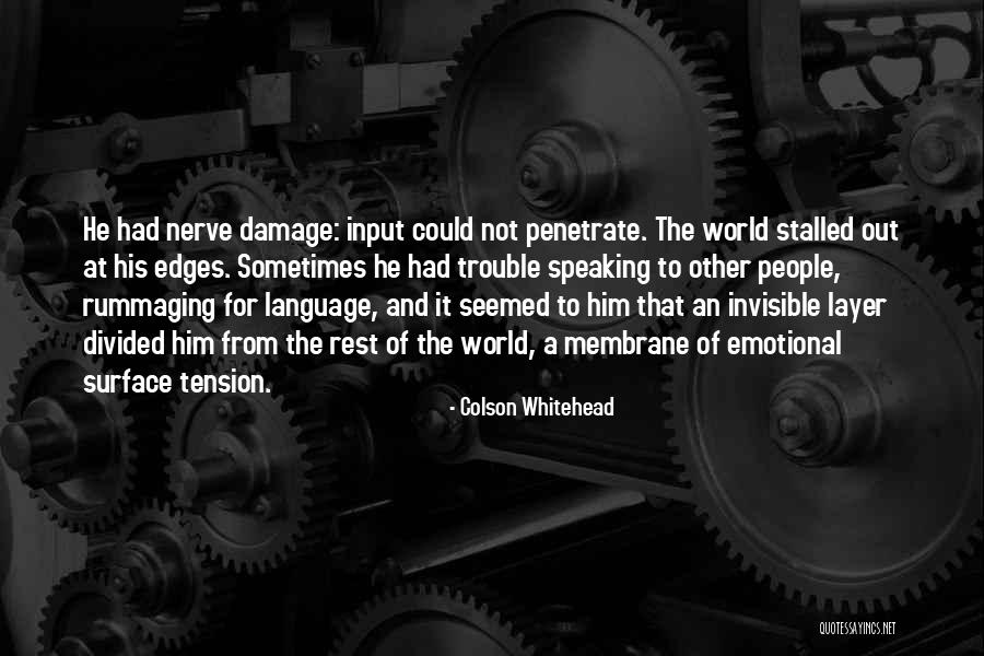 B2a Haplogroup Quotes By Colson Whitehead B2a Haplogroup Quotes By Colson Whitehead