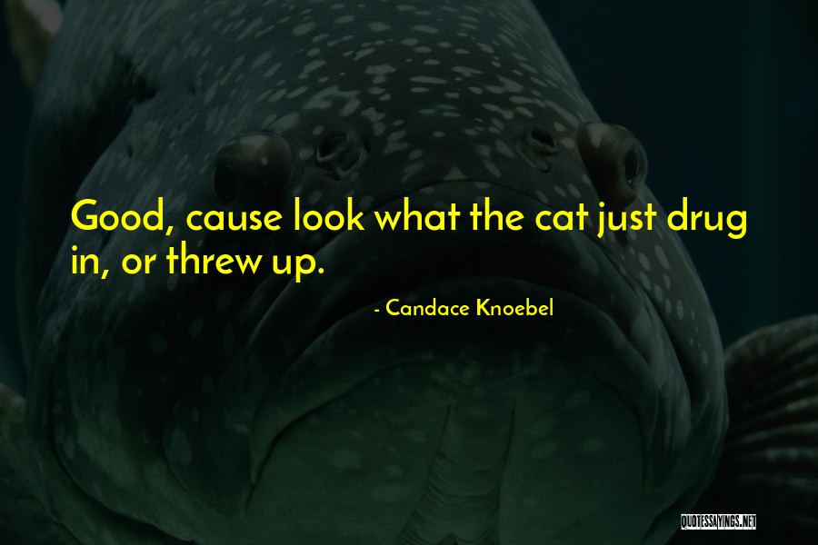 B3ta Store Quotes By Candace Knoebel B3ta Store Quotes By Candace Knoebel