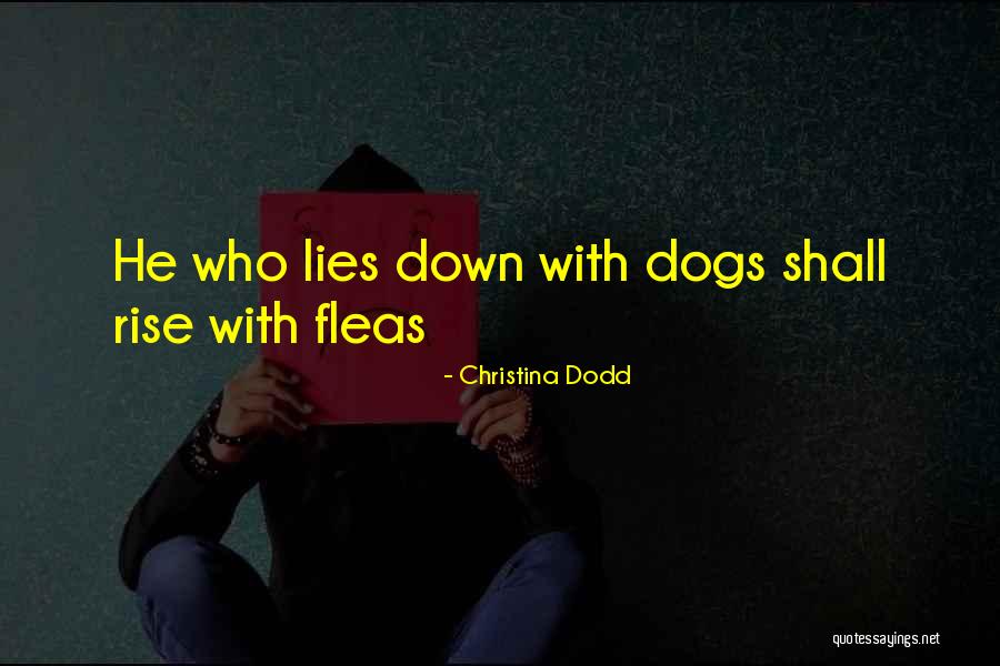 Baaaaabe Quotes By Christina Dodd Baaaaabe Quotes By Christina Dodd