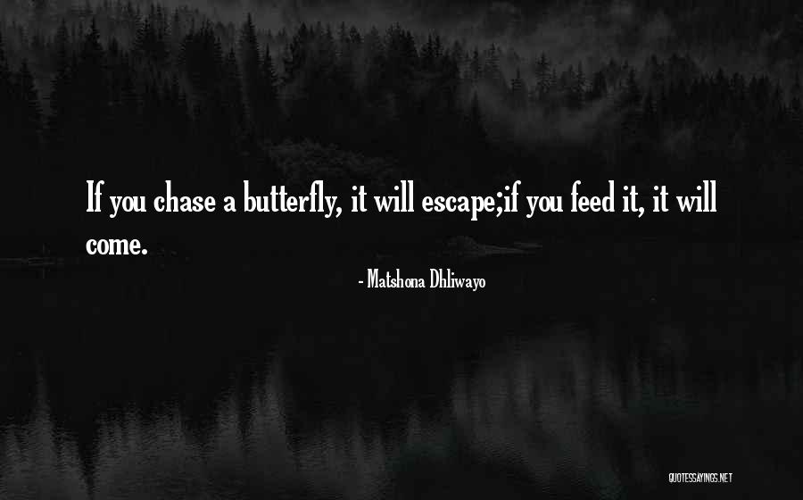 Baadance Quotes By Matshona Dhliwayo