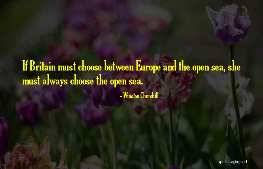 Baadoos Quotes By Winston Churchill Baadoos Quotes By Winston Churchill