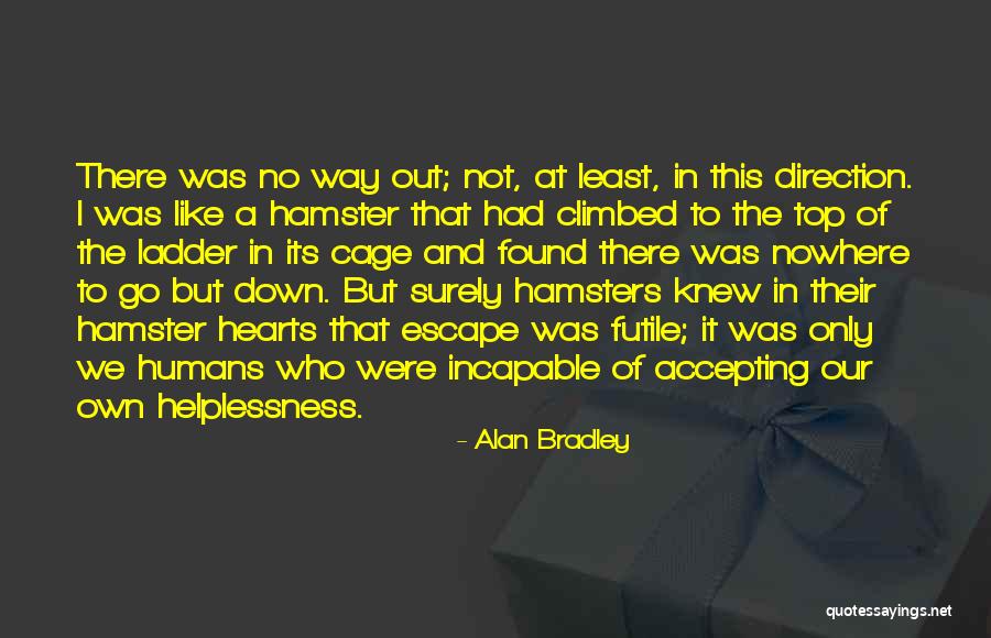 Baam Quotes By Alan Bradley Baam Quotes By Alan Bradley