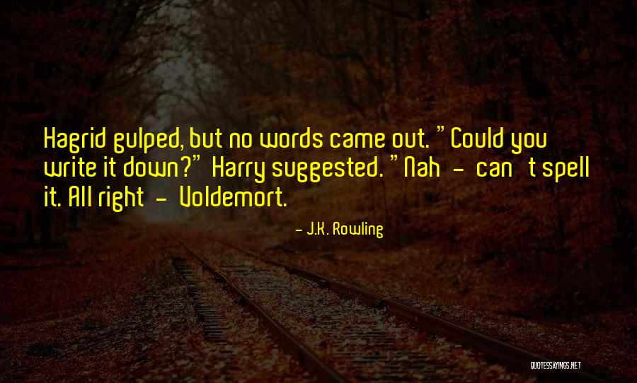 Baardmeesweg Quotes By J.K. Rowling Baardmeesweg Quotes By J.K. Rowling