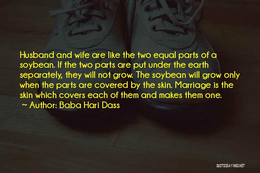 Baba Hari Dass Quotes 519787