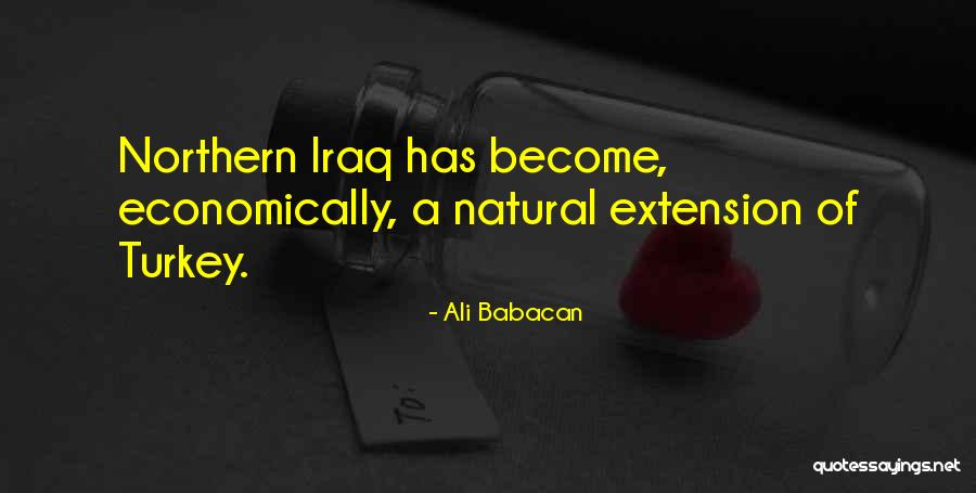 Babacan Quotes By Ali Babacan Babacan Quotes By Ali Babacan