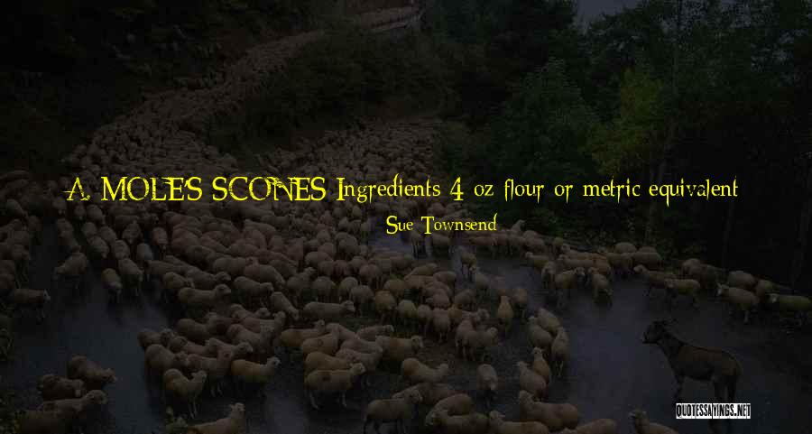 Babaevsky Quotes By Sue Townsend Babaevsky Quotes By Sue Townsend