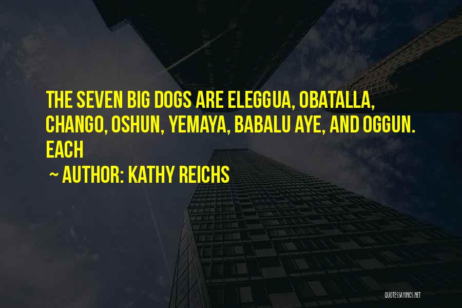 Babalu Quotes By Kathy Reichs