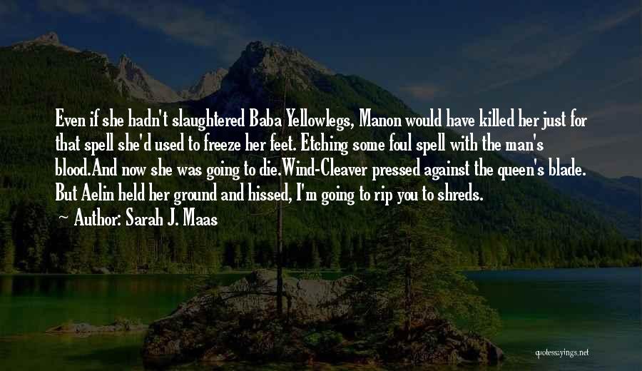 Baba's Quotes By Sarah J. Maas