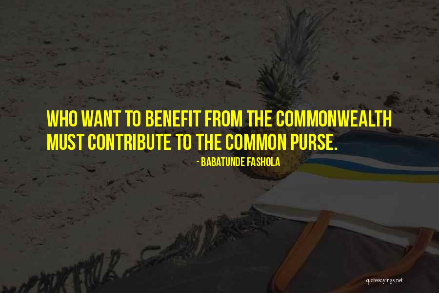 Babatunde Fashola Quotes 714996 Babatunde Fashola Quotes 714996