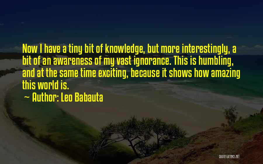 Babauta Quotes By Leo Babauta