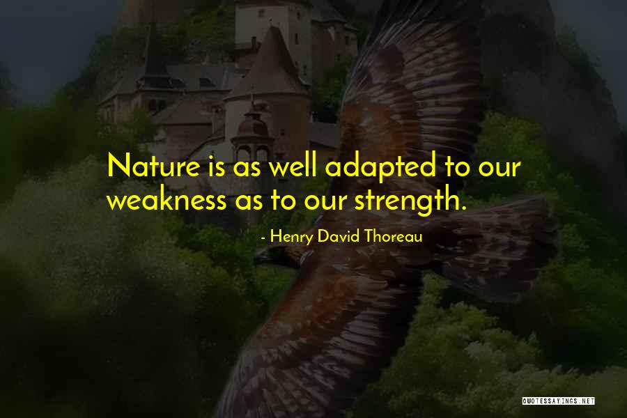 Babbity Bumble Quotes By Henry David Thoreau Babbity Bumble Quotes By Henry David Thoreau