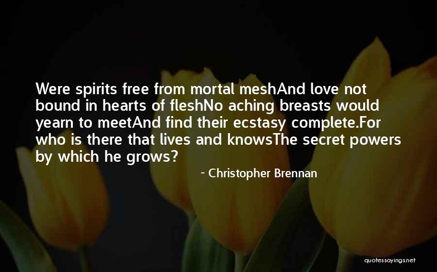 Babbler Bird Quotes By Christopher Brennan Babbler Bird Quotes By Christopher Brennan