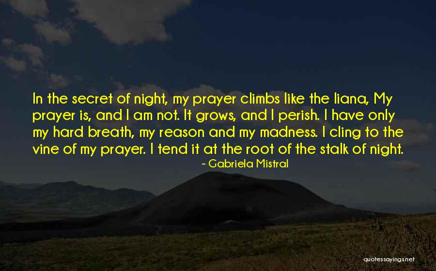 Babbles To Self Quotes By Gabriela Mistral Babbles To Self Quotes By Gabriela Mistral