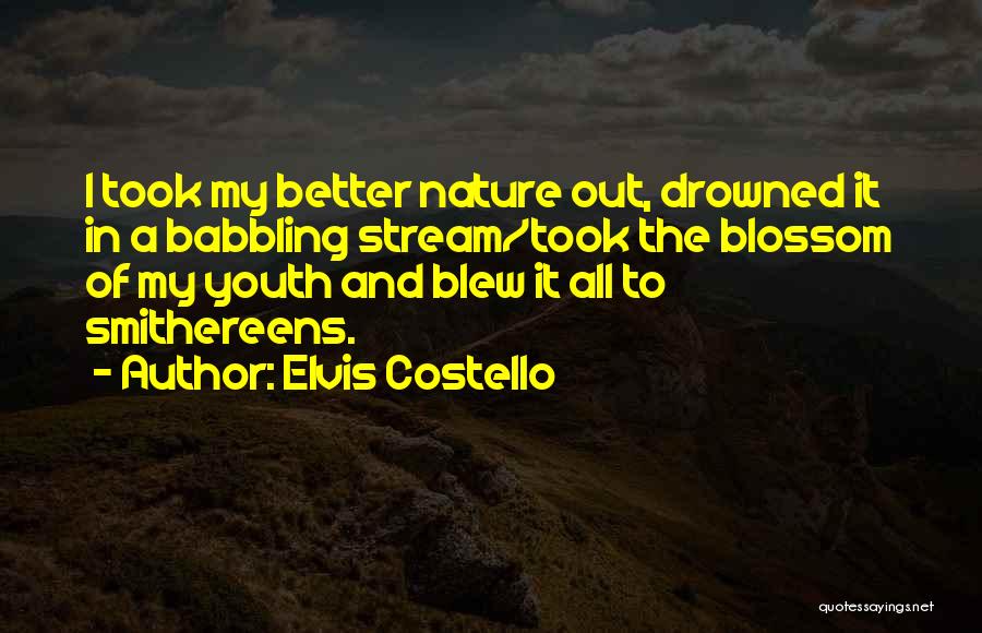 Babbling Quotes By Elvis Costello