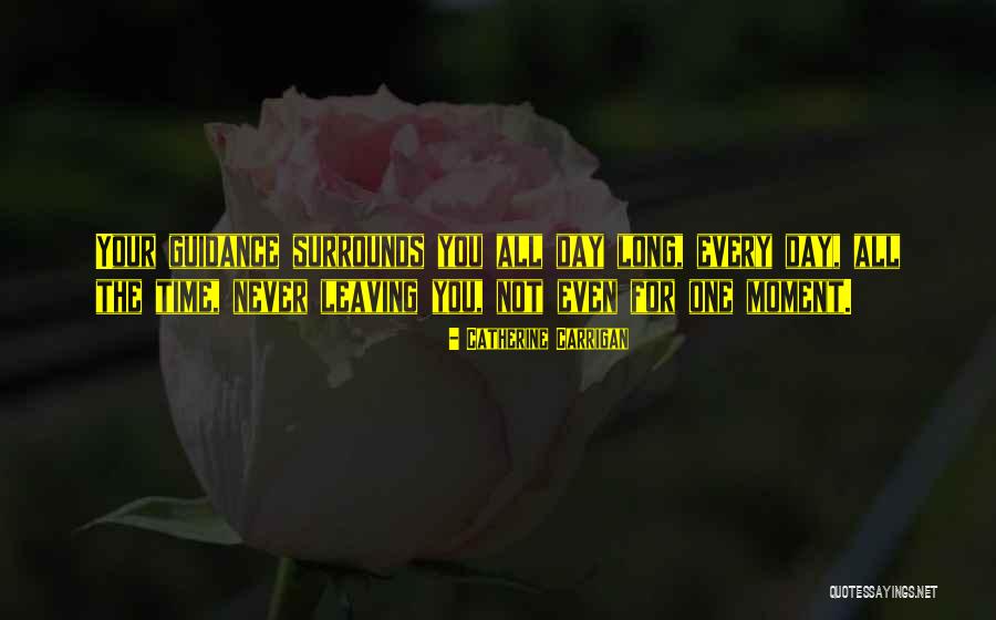 Babicz Spider Quotes By Catherine Carrigan Babicz Spider Quotes By Catherine Carrigan