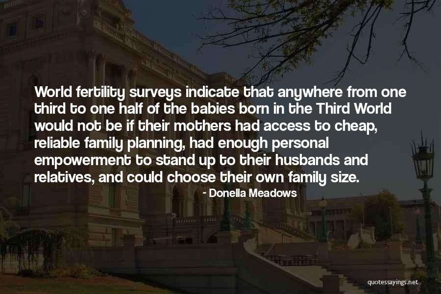 Babies And Family Quotes By Donella Meadows Babies And Family Quotes By Donella Meadows