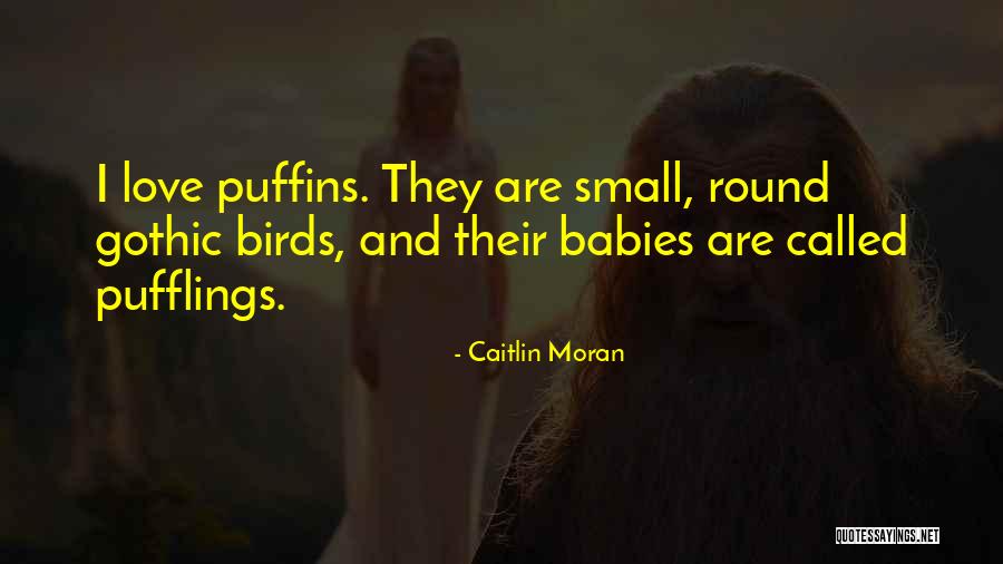 Babies And Love Quotes By Caitlin Moran Babies And Love Quotes By Caitlin Moran