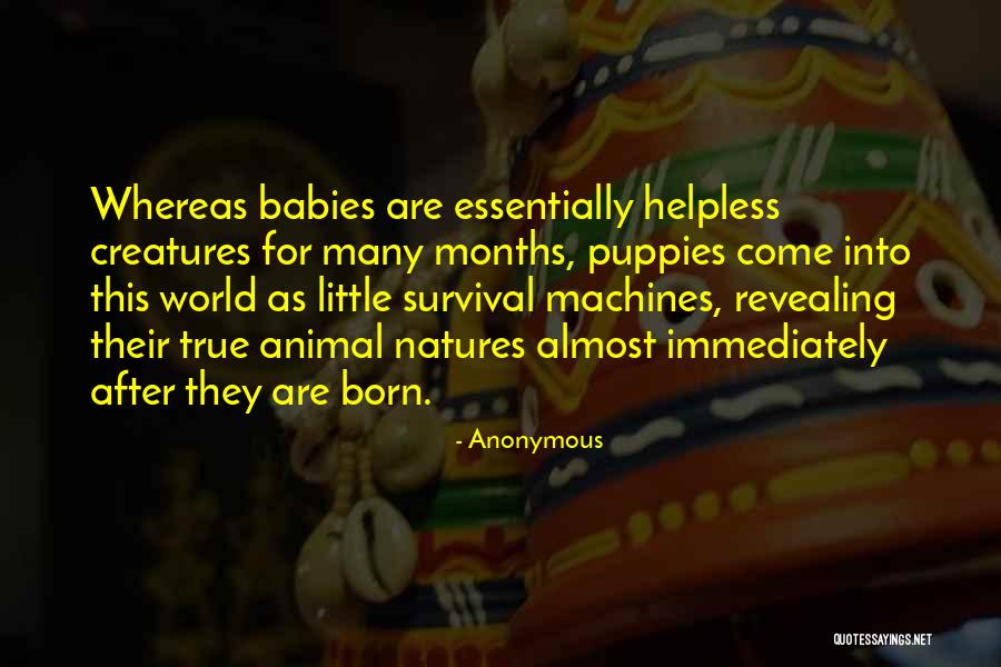 Babies Born Quotes By Anonymous Babies Born Quotes By Anonymous