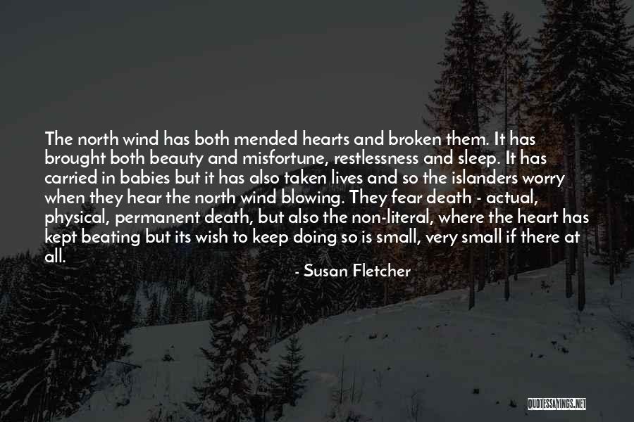 Babies Death Quotes By Susan Fletcher