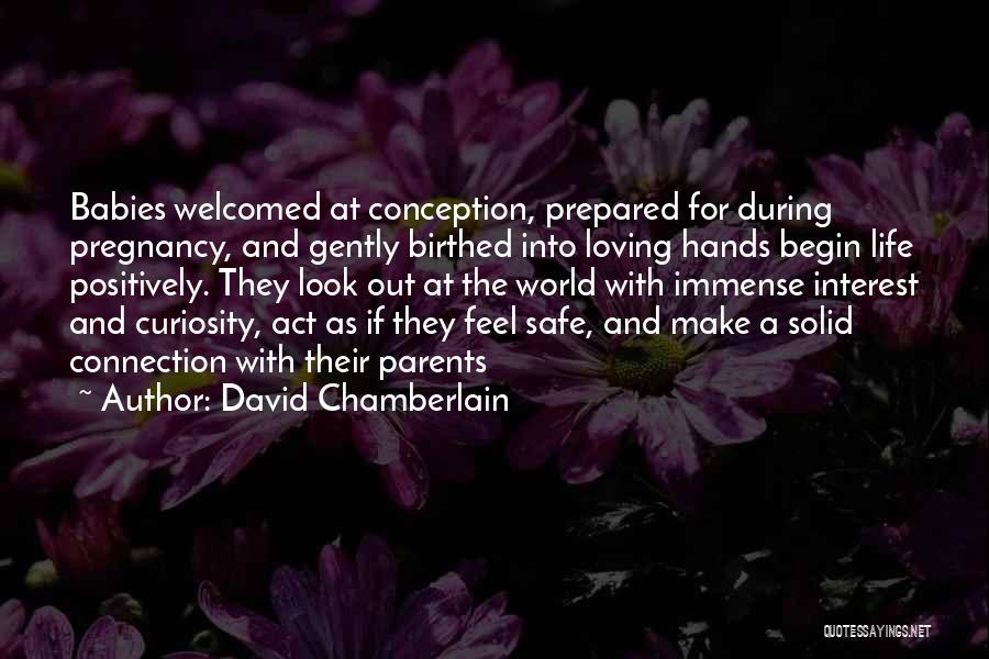 Babies Hands Quotes By David Chamberlain