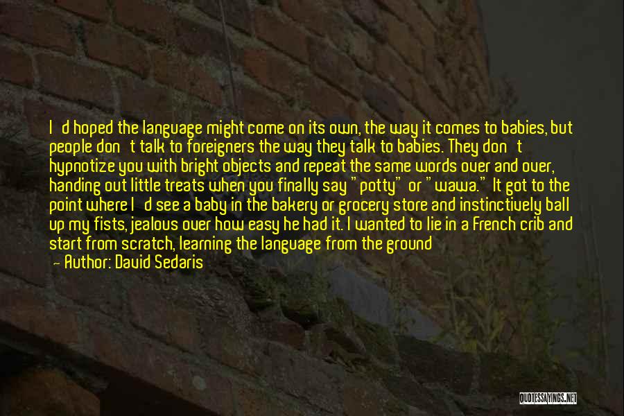 Babies Learning Quotes By David Sedaris