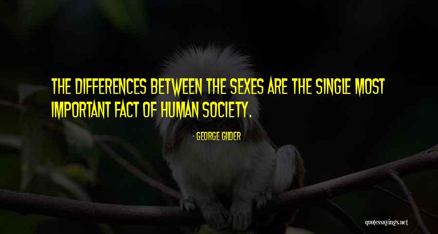 Babilafuente Quotes By George Gilder Babilafuente Quotes By George Gilder