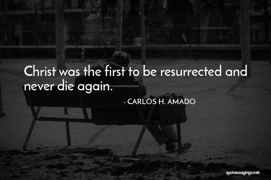 Babine Quotes By CARLOS H. AMADO Babine Quotes By CARLOS H. AMADO